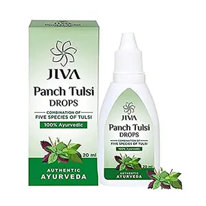 Jiva Tulsi Drops - 20 ml - Pack of 1 - Pure Herbs Used 100% Ayurvedic Formulation Natural & Organic Tulsi Drops with Benefit of 5 Species of Tulsi 5X Immunity Booster