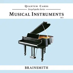 Brainsmith Quantum Cards  Musical Instruments Set 1  Encyclopaedic Flashcards  Early Learning  Sensory Development - Birthday Gift (For children from 8 months and above  Brain Development)