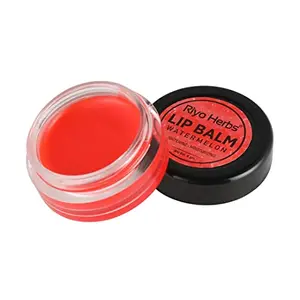 Riyo Herbs Watermelon Lip Balm With Rich & Natural Essential Oils Shea Butter & Beeswax for help Lightening and Moisturising Tanned Soft & Supple All Day 6gm