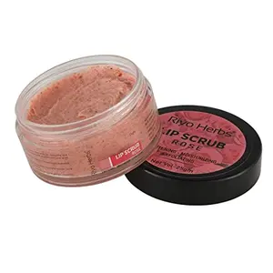 Riyo Herbs Rose Lip Scrub With Rich & Natural Essential Oils Shea Butter & Avocado Oil for Help Lightening Moisturising Smooth Soft & Nourished Lips 25gm