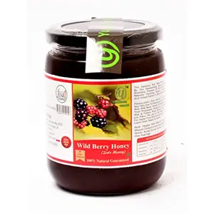 Yugmantra Organic Foods -100 % Pure Raw Natural from Hives Guaranteed Unprocessed Wild Berry - The Immunity Booster (Wild Berry) 650 GMS