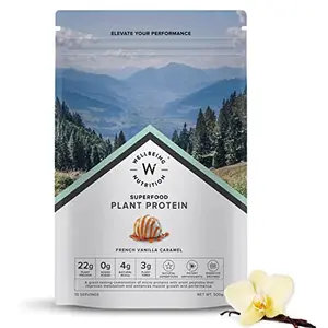 Wellbeing Nutrition Organic Vegan Plant Protein Isolate| Superfoods Antioxidants Berry Digestive Enzymes | 4g BCAA 3g Fiber for Muscle Repair & Recovery| French Vanilla Caramel - 500gm