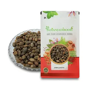 IndianJadiBooti Jamalghota Beej - Jamalghota Seeds - Croton Seeds - Croton Tiglium 100 Grams