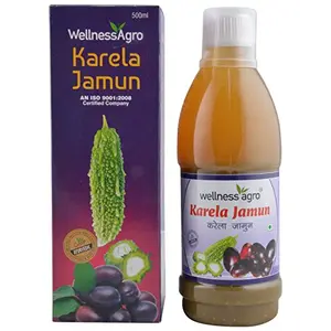 Wellness Karela Jamun Juice 500 ml
