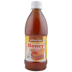 Wellness Pure & Natural Honey 800 Grams