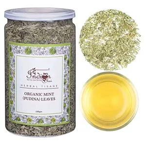 The Indian Chai - Organic Mint Tea (Pudina) Leaves 100g