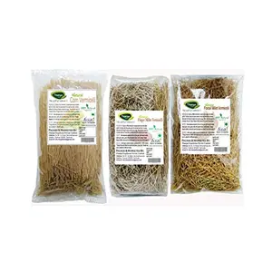 Thanjai Natural Vermicelli 600 Grams 100% Natural Home Made in 3 Varieties (Corn Millet Finger Millet & Foxtail Millet Semiya)