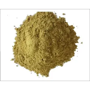 NatureHerbs Shatavari Powder - 400 Gm