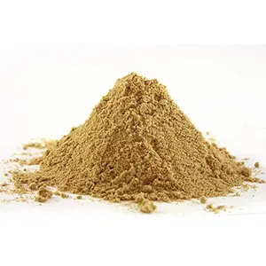 Dry Ginger Powder-400 Gm