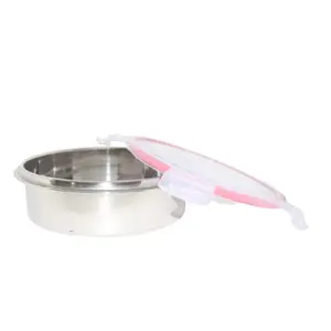 Dynore Stainless Steel Pink Tiffin Large 4 No