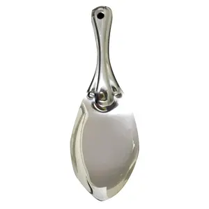 Dynore Rainbow Wide Serving Spoon