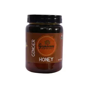 Graminway Ginger Honey -350 Gm (Pack of 1)