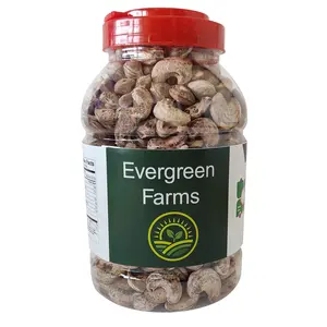 Evergreen Farms Fresh Unpeeled Cashews with Skin NW Kaju for Natural Taste in Pet Jar 1 Kg