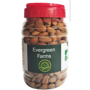 Evergreen Farms Fresh Roasted and Salted California Almonds in Pet Jar 500 Grams