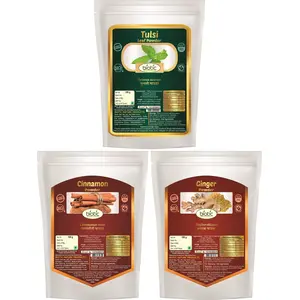 Biotic Tulsi Cinnamon and Dry Ginger Powder - Combo 100 g Each - 300 gms.