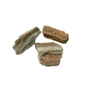 Sahib Healing Crystals Natural Petrified Wood Bark 100 Grams Rough Raw Stone for Reiki Healing Vastu Correction Feng Shui Meditation Positivity and Energy