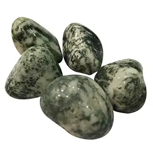 Sahib Healing Crystals Natural Tree Agate 450 Grams Tumble Stone for Reiki Healing Crystal Healing Vastu Correction and Wisdom