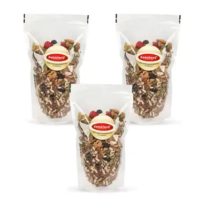 Sonature Assorted Mixed Nuts Seeds And Berries Assorted Dry Fruit Nut Mix with Seeds Berries for Eating | 20+ Varieties like Almonds Cashews Cranberries Pumpkin Seeds 600 Gram
