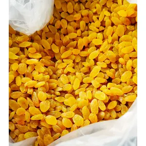 Nutrilin Premium Dried Golden Raisin | Dried Indian Yellow Kishmish Pilli Kishmish (1)
