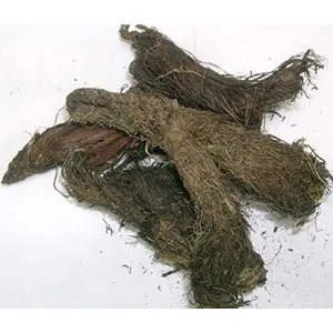 TRH Balchad - Jatamansi - Nardostachys - Musk Root - Spikenard (100 gm)