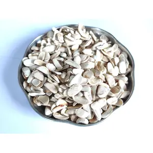Sky Fruit Peeled|Kadwa Badam (Bitter Almonds) Quality Seeds - 30 gm