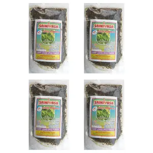Sreenivasa Andhra Special Curry Leaves Spicy Powder - Pack of 4 x 100gm