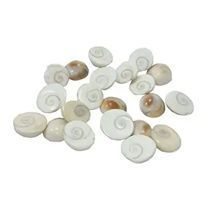 Energized Loose Gomati Chakra Shells Set Of 21