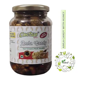 Cactus Spices Organic Amla Candy with Honey 450 G