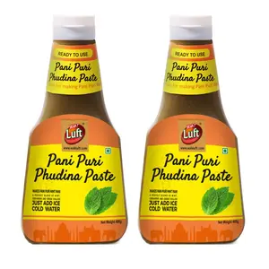 Wah!Luft Instant and Delicious Ready to Use Pani Puri Phudina Paste (for Pani Puri Spicy Pani) - 400g (Pack of 2)