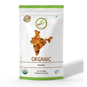 Orgabite Organic Raisins 500g - Organic Kismis