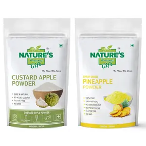NATURE'S GIFT - FOR THOSE WHO CARE'S Custard Apple & Pineapple Fruit Powder - 200 GM Each (Super Saver Combo Pack)
