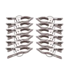 Dynore Stainless Steel Hanging Cloth Drying Pegs/Clips/Chimta Set of 12 Pcs