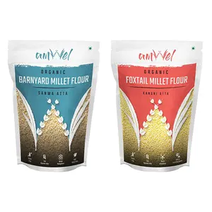 Amwel Combo of Barnyard Millet Flour 500g + Foxtail Millet Flour 500g (Pack of Two)