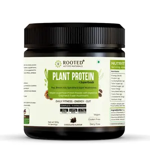 Rooted Plant Protein powder 24gm protein from Pea Super Mushrooms Brown Rice Spirulina | Probiotics Enzymes Super mushrooms |500 gm | Chocolate flavour (USA FDA Registered Facility)