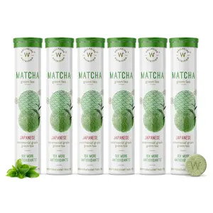 Wellbeing Nutrition Organic Japanese Ceremonial Matcha Green Tea for Energy & Focus| High in ANTIOXIDANTS for Skin Dark Circles & Weight Management (120 Effervescent Tablets) Pack of 6