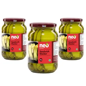 Neo Sandwich Stackers 480G I P3 I 100% Vegan I Salty Gherkin Slices Ready to Eat No GMO I Make Burger Sandwich and More (Pack of 3)