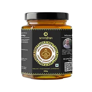Anveshan Wild Forest Honey 500g | Glass Jar | NMR tested | Raw & Unprocessed | No Added Sugar