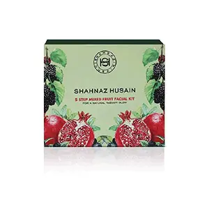 Shahnaz Husain 5 Step Mixed Fruit Facial Kit Light Pack of 2 15 Count (Pack of 1)