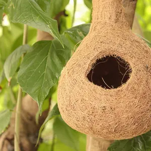 Vanchai Coir Fibre Bird Nest