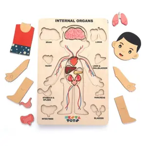 NESTA TOYS - Human Body Anatomy Puzzle (14 Pcs) | Montessori Puzzle for Preschoolers Ages 3+