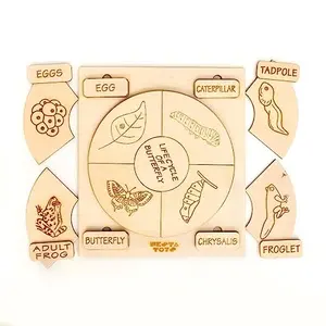 NESTA TOYS - Montessori Life Cycle Puzzles | DIY Coloring Activity (36 Pieces) - Frog Plant Chicken & Butterfly
