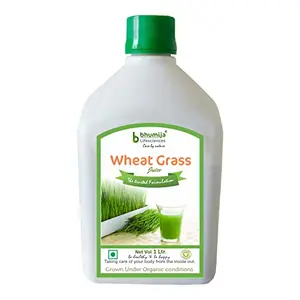 Plain Wheatgrass Juice - Natural | Herbal Juice Sugar Free 1 Ltr
