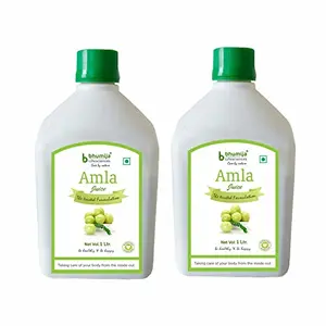 Amla Juice | Vitamin C and Natural Immunity Booster (Sugar Free) 1 Ltr (Pack of Two)