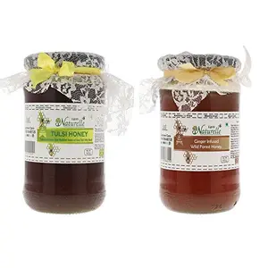 850 GMS x 2 - Real Vana Tulsi and Real Ginger Infused Honey Combo Pack -Immense Medicinal Value