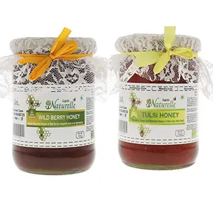 Raw Natural Ayurved Recommended Unprocessed Tulsi Forest Flower Honey with Huge Medicinal Value and Wid Berry Forest Honey Combo 700 g x 2 Bottles