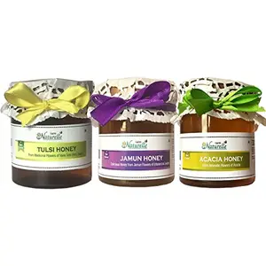 Raw Natural Unprocessed Tulsi Forest Flower Honey & Jamun Flower Forest Honey & Acacia Flower Honey (250 GMS x 3) (Ayurved Recommended)-Huge Medicinal Value