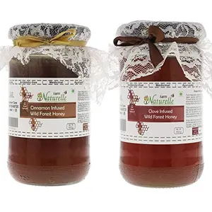 Cinnamon Infused Natural Wild Forest Honey and Real Clove Infused Forest Honey (850 GMSx 2 Jars)-Immense Medicinal Value