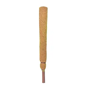 Plant Care Coco Coir Stick Pole Moss Stick for Climbing Money Plant | Indoor and Outdoor Plants | Housing Plants Support | Climbers (4 Feet 1)