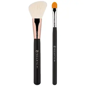 PROARTE Dab-On Concealer Brush Black 100 g and Proarte Precision Face Contour Brush Black 100 G