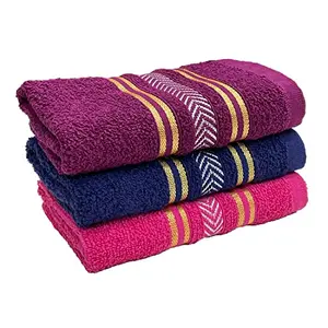 STAMIO Cotton Hand Towel Soft 390 GSM 13 X 21 Inches (Set of 2 Purple Blue and k) | Quick Dry Small Size Travel Friendly